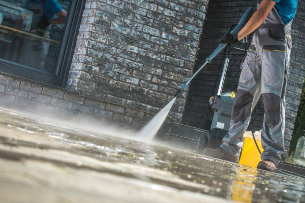 Best Driveway Pressure Washing  in Norman Park, GA