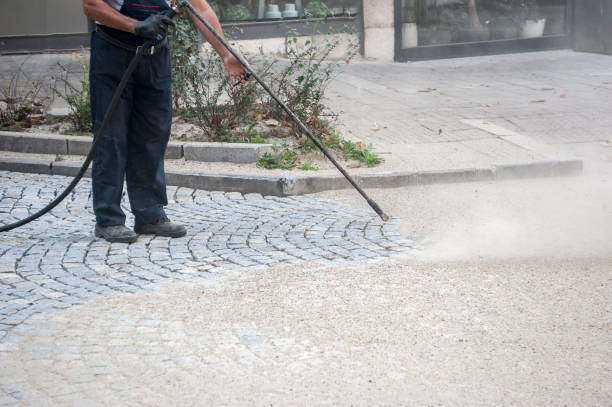 Best Boat and Dock Cleaning  in Norman Park, GA