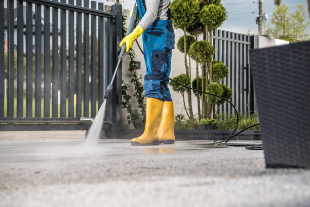 Trusted Norman Park, GA Pressure Washing Services Experts